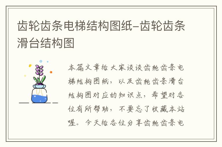齿轮齿条电梯结构图纸-齿轮齿条滑台结构图