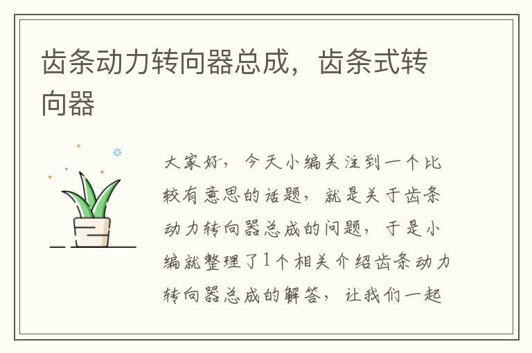 齿条动力转向器总成,齿条式转向器