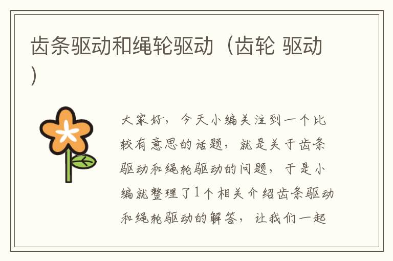 齿条驱动和绳轮驱动(齿轮 驱动)