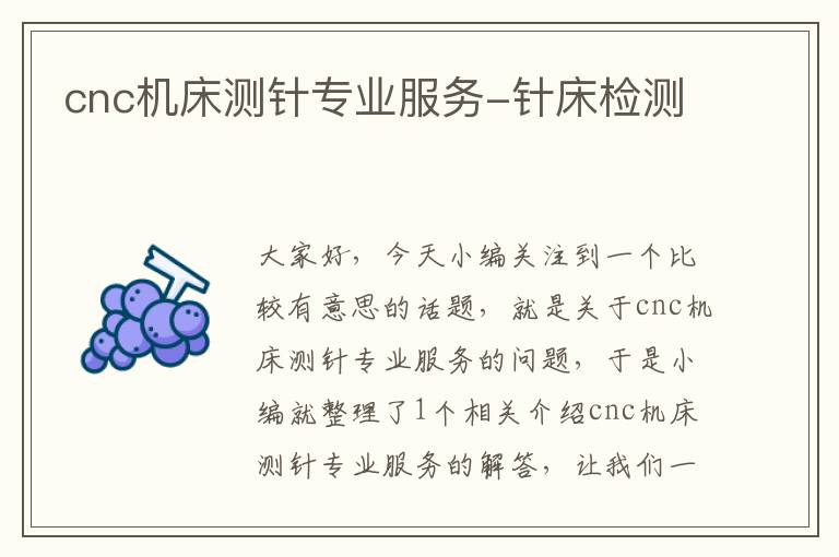 cnc机床测针专业服务-针床检测