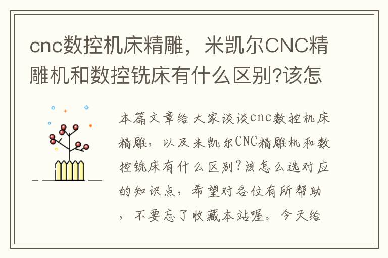 cnc数控机床精雕，米凯尔CNC精雕机和数控铣床有什么区别?该怎么选