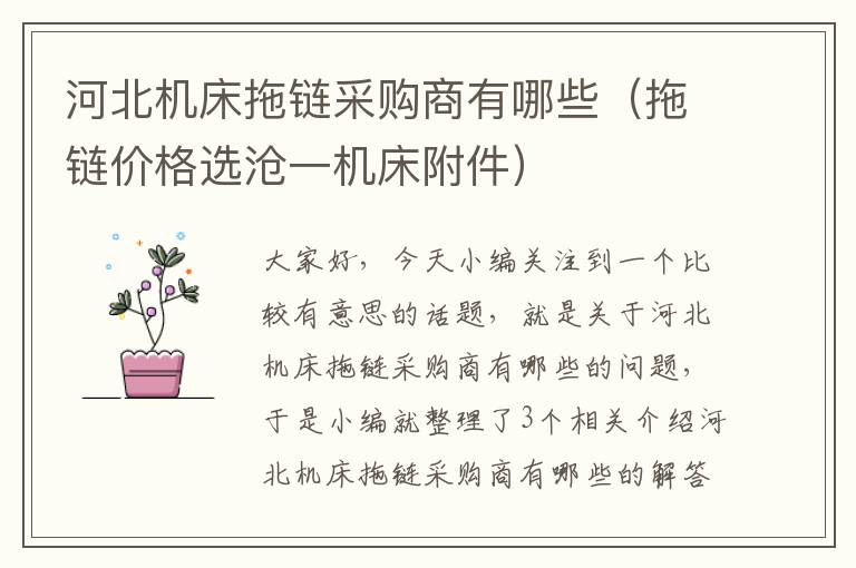 河北机床拖链采购商有哪些(拖链价格选沧一机床附件)