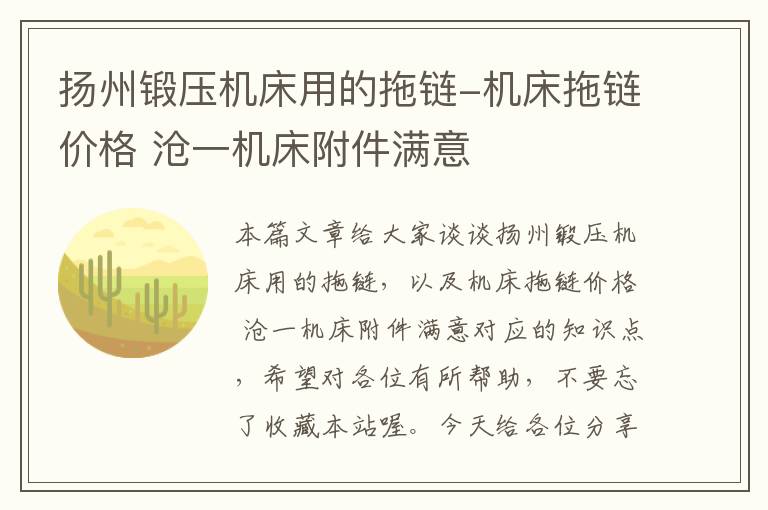 扬州锻压机床用的拖链-机床拖链价格 沧一机床附件满意
