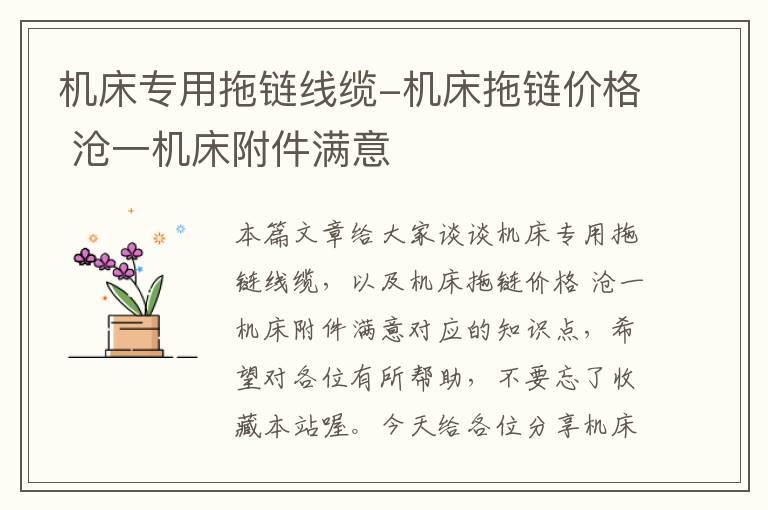 机床专用拖链线缆-机床拖链价格 沧一机床附件满意