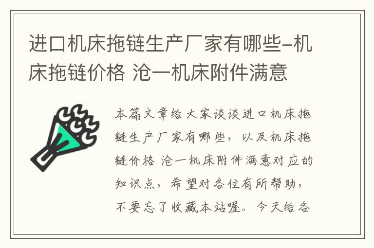 进口机床拖链生产厂家有哪些-机床拖链价格 沧一机床附件满意