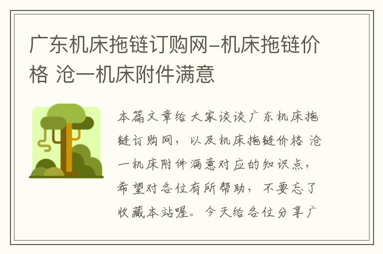 广东机床拖链订购网-机床拖链价格 沧一机床附件满意