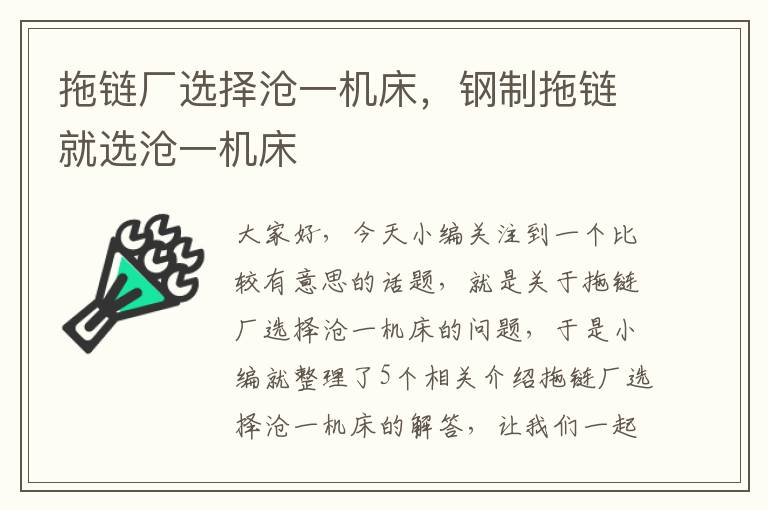 拖链厂选择沧一机床,钢制拖链就选沧一机床
