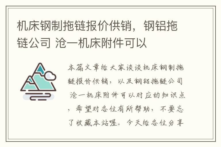 机床钢制拖链报价供销,钢铝拖链公司 沧一机床附件可以