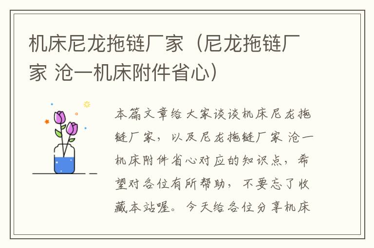 机床尼龙拖链厂家(尼龙拖链厂家 沧一机床附件省心)