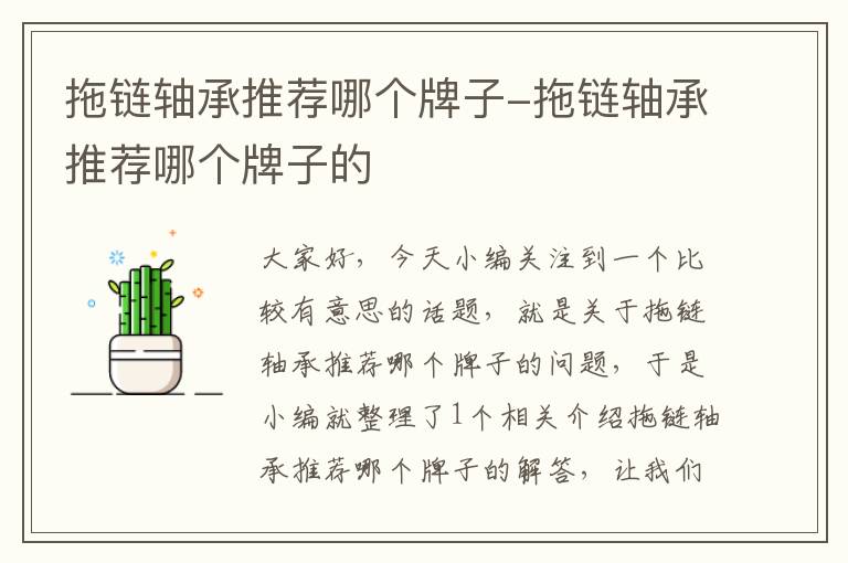 拖链轴承推荐哪个牌子-拖链轴承推荐哪个牌子的