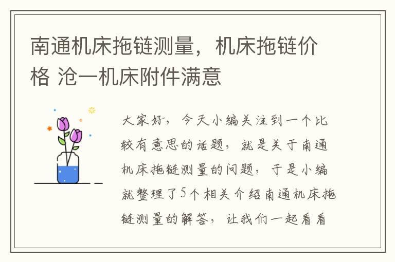 南通机床拖链测量,机床拖链价格 沧一机床附件满意