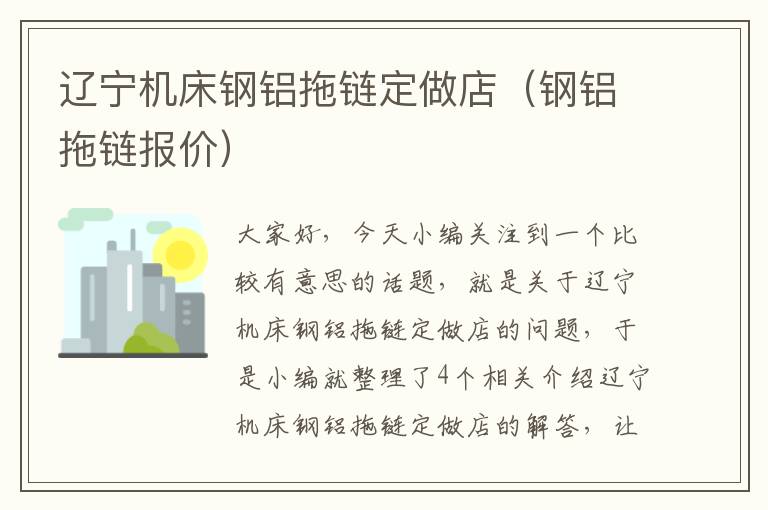 辽宁机床钢铝拖链定做店(钢铝拖链报价)