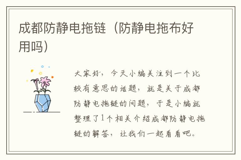 成都防静电拖链(防静电拖布好用吗)