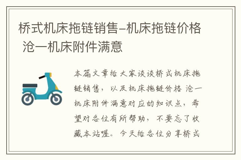 桥式机床拖链销售-机床拖链价格 沧一机床附件满意