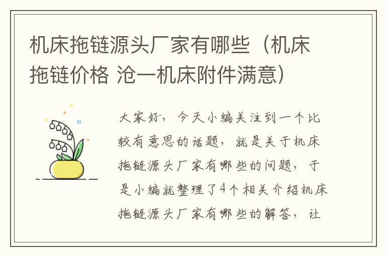 机床拖链源头厂家有哪些(机床拖链价格 沧一机床附件满意)