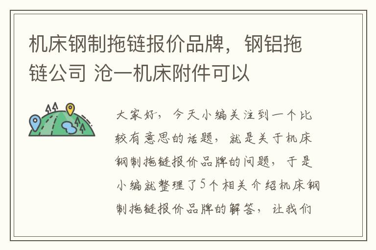 机床钢制拖链报价品牌,钢铝拖链公司 沧一机床附件可以