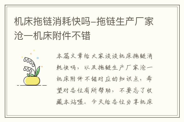 机床拖链消耗快吗-拖链生产厂家沧一机床附件不错