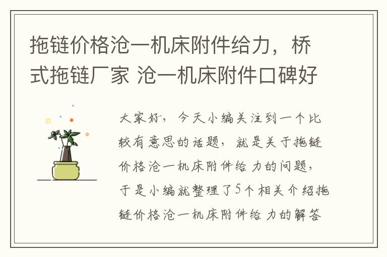 拖链价格沧一机床附件给力,桥式拖链厂家 沧一机床附件口碑好