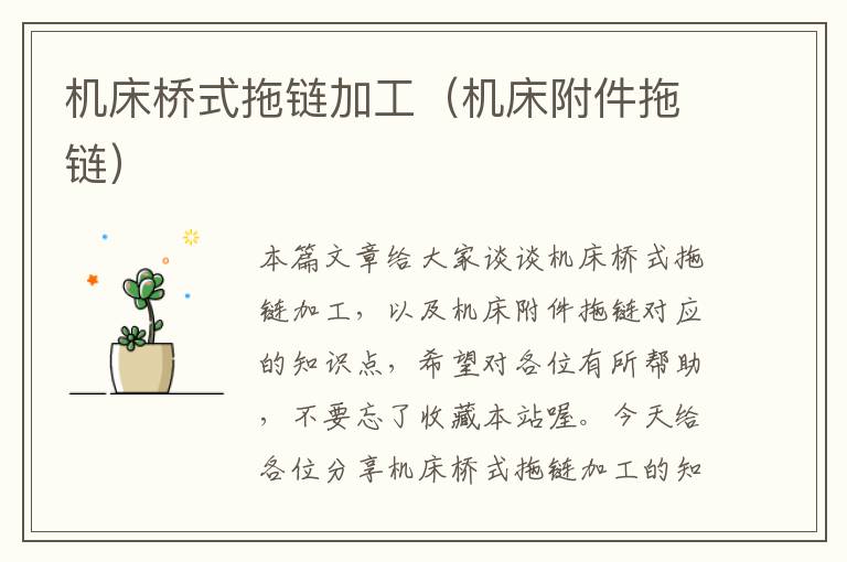 机床桥式拖链加工(机床附件拖链)