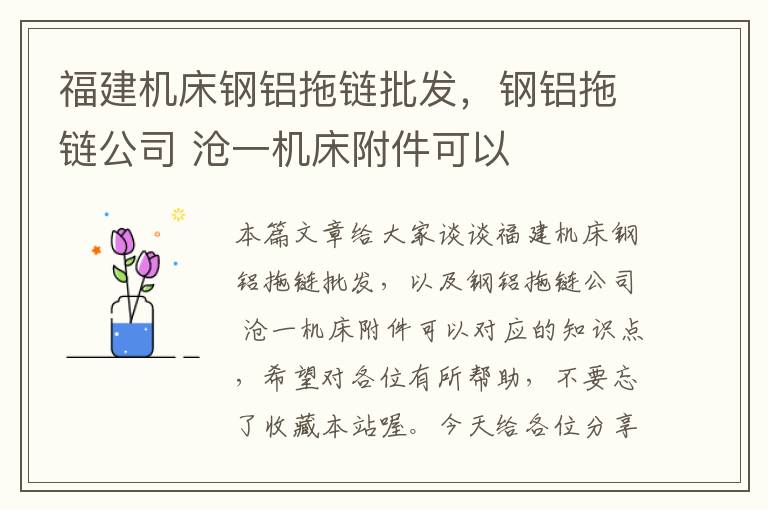 福建机床钢铝拖链批发,钢铝拖链公司 沧一机床附件可以