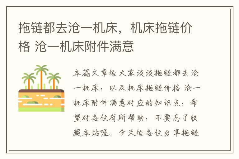 拖链都去沧一机床,机床拖链价格 沧一机床附件满意