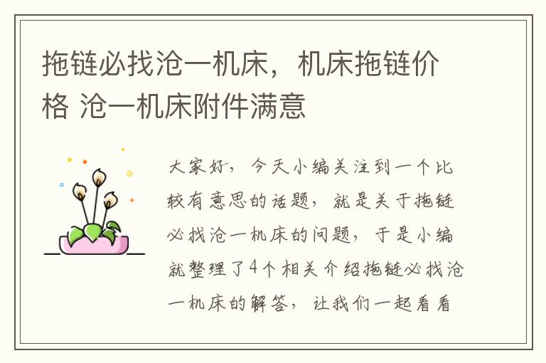 拖链必找沧一机床，机床拖链价格 沧一机床附件满意