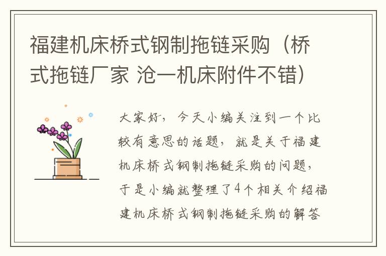 福建机床桥式钢制拖链采购(桥式拖链厂家 沧一机床附件不错)