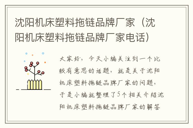 沈阳机床塑料拖链品牌厂家(沈阳机床塑料拖链品牌厂家电话)