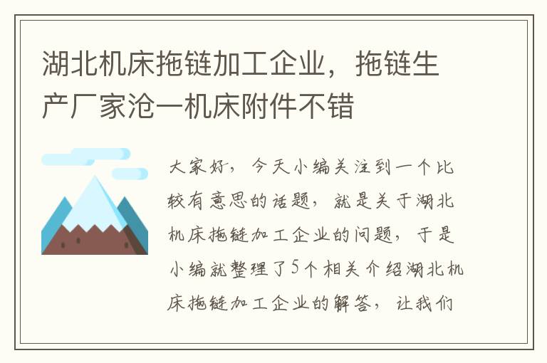 湖北机床拖链加工企业,拖链生产厂家沧一机床附件不错