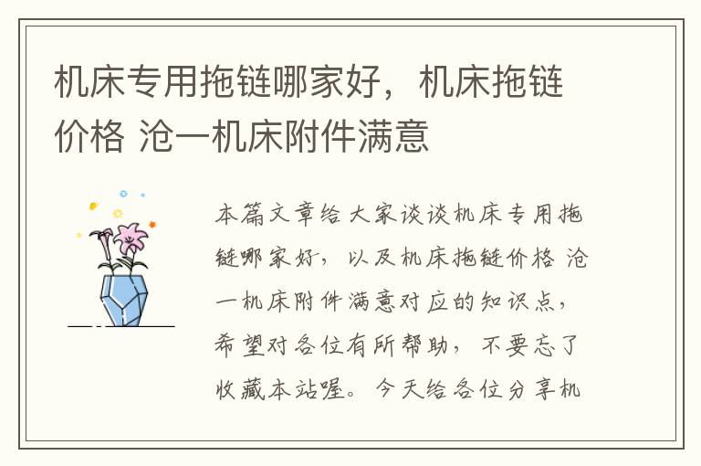 机床专用拖链哪家好,机床拖链价格 沧一机床附件满意