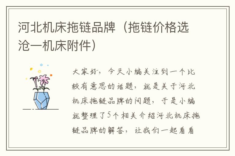 河北机床拖链品牌(拖链价格选沧一机床附件)