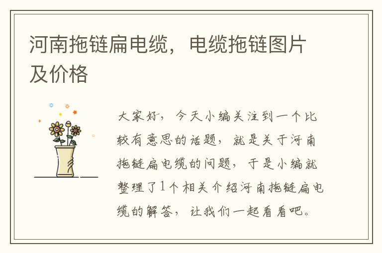 河南拖链扁电缆,电缆拖链图片及价格