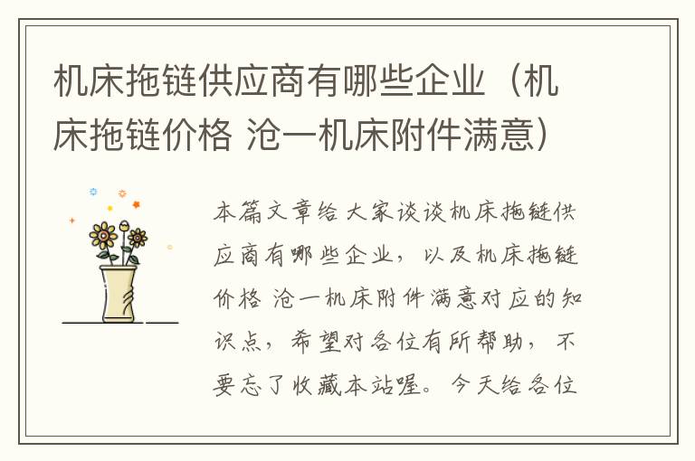 机床拖链供应商有哪些企业(机床拖链价格 沧一机床附件满意)