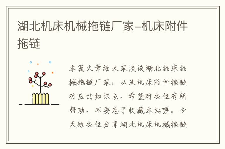 湖北机床机械拖链厂家-机床附件拖链