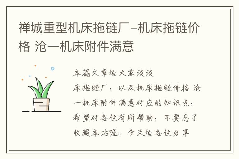 禅城重型机床拖链厂-机床拖链价格 沧一机床附件满意