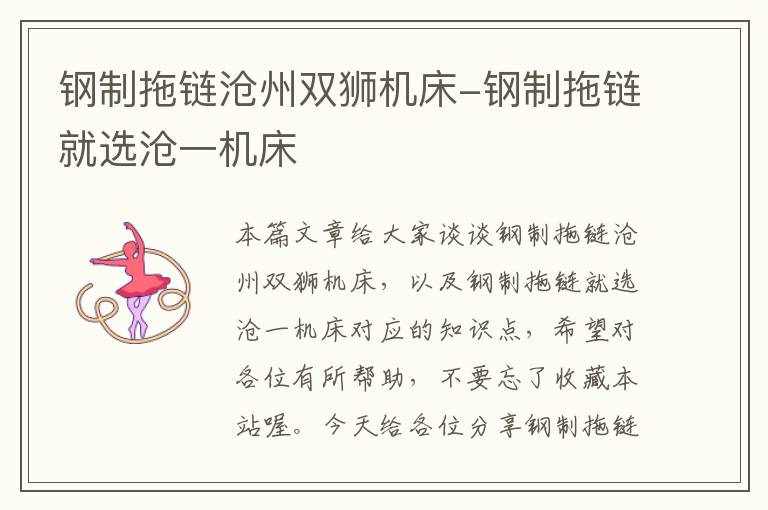 钢制拖链沧州双狮机床-钢制拖链就选沧一机床