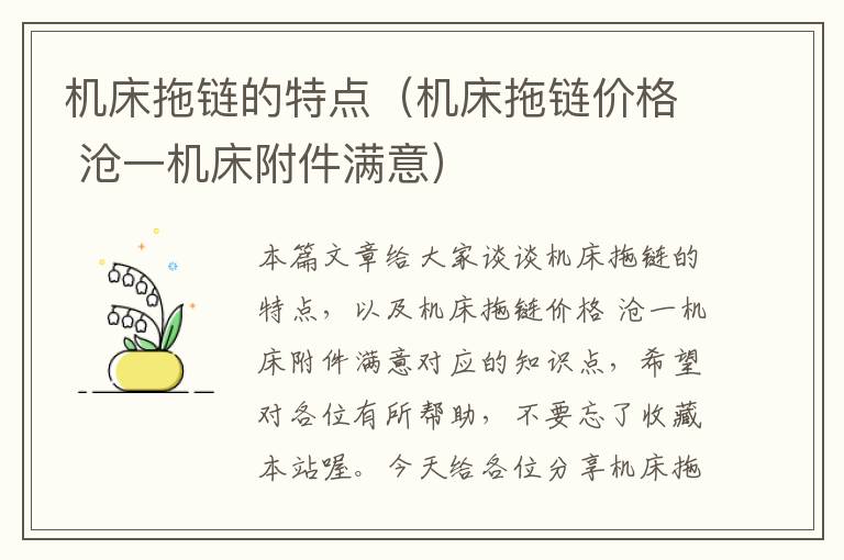 机床拖链的特点(机床拖链价格 沧一机床附件满意)
