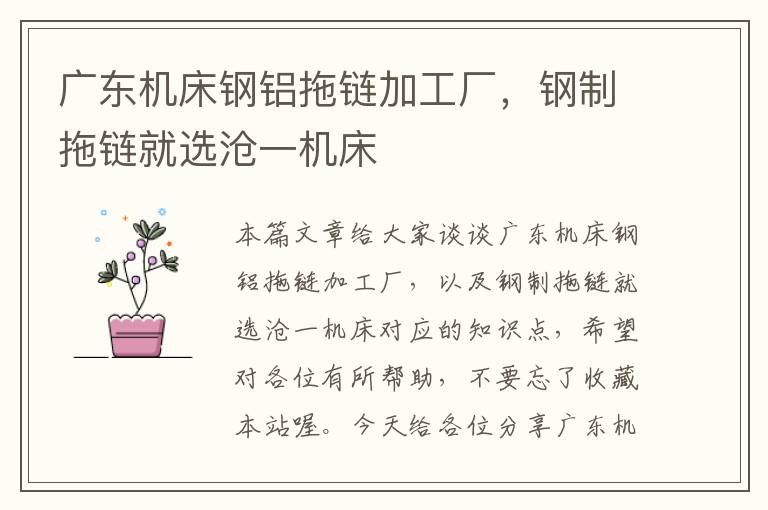 广东机床钢铝拖链加工厂,钢制拖链就选沧一机床