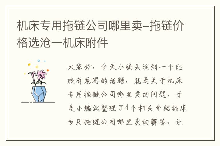 机床专用拖链公司哪里卖-拖链价格选沧一机床附件