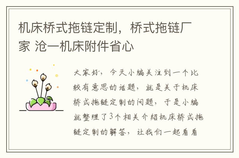 机床桥式拖链定制，桥式拖链厂家 沧一机床附件省心