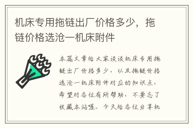 机床专用拖链出厂价格多少,拖链价格选沧一机床附件