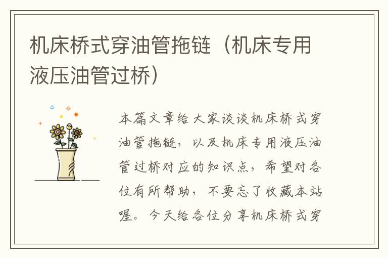 机床桥式穿油管拖链(机床专用液压油管过桥)