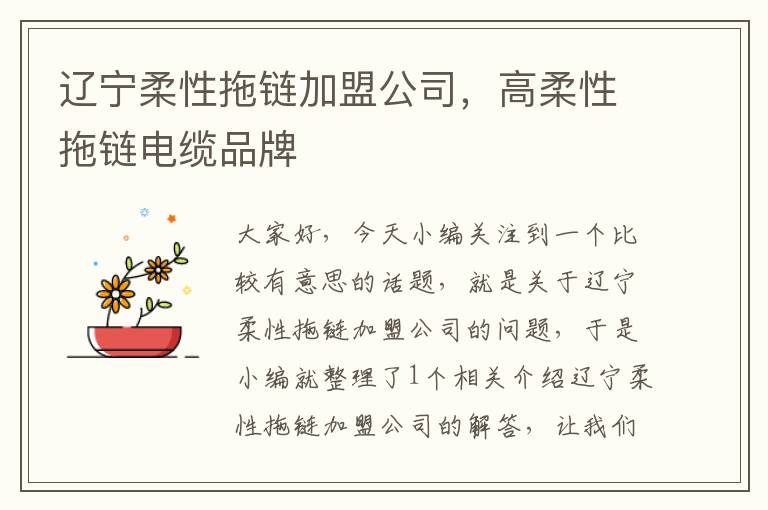 辽宁柔性拖链加盟公司,高柔性拖链电缆品牌