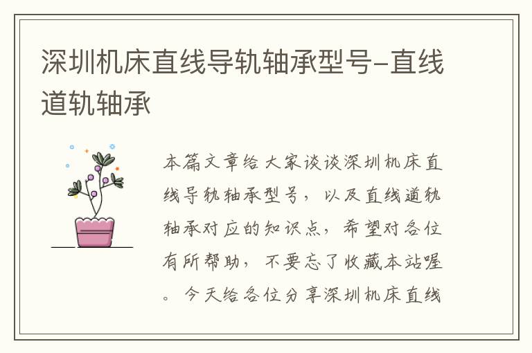 深圳机床直线导轨轴承型号-直线道轨轴承