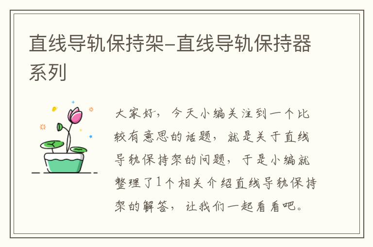 直线导轨保持架-直线导轨保持器系列