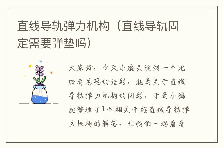 直线导轨弹力机构(直线导轨固定需要弹垫吗)