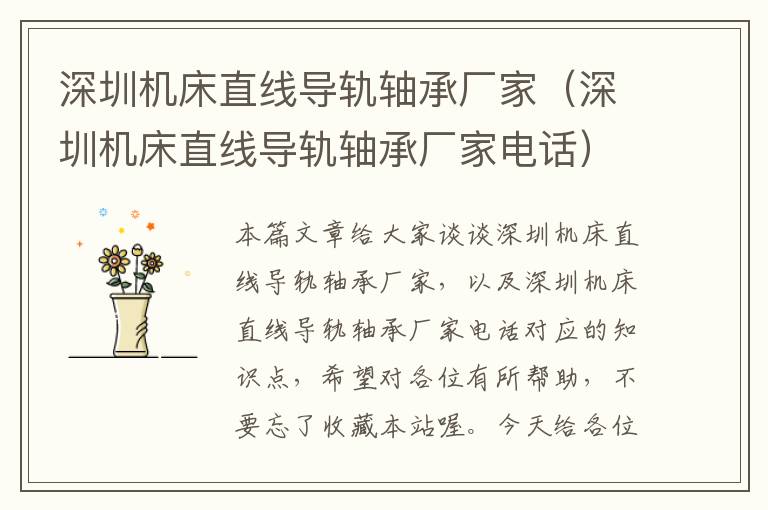 深圳机床直线导轨轴承厂家(深圳机床直线导轨轴承厂家电话)