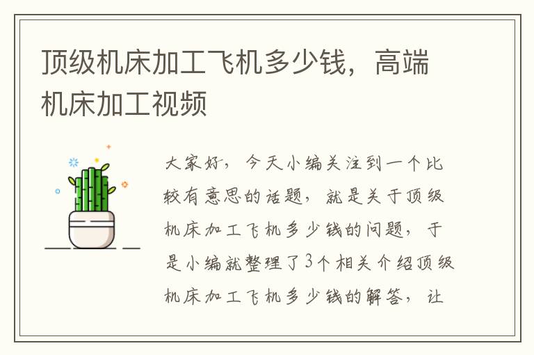 顶级机床加工飞机多少钱,高端机床加工视频