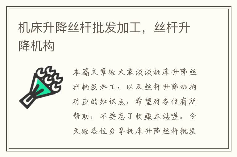 机床升降丝杆批发加工,丝杆升降机构