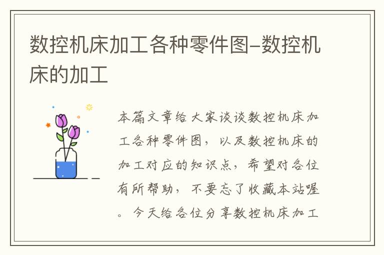 数控机床加工各种零件图-数控机床的加工